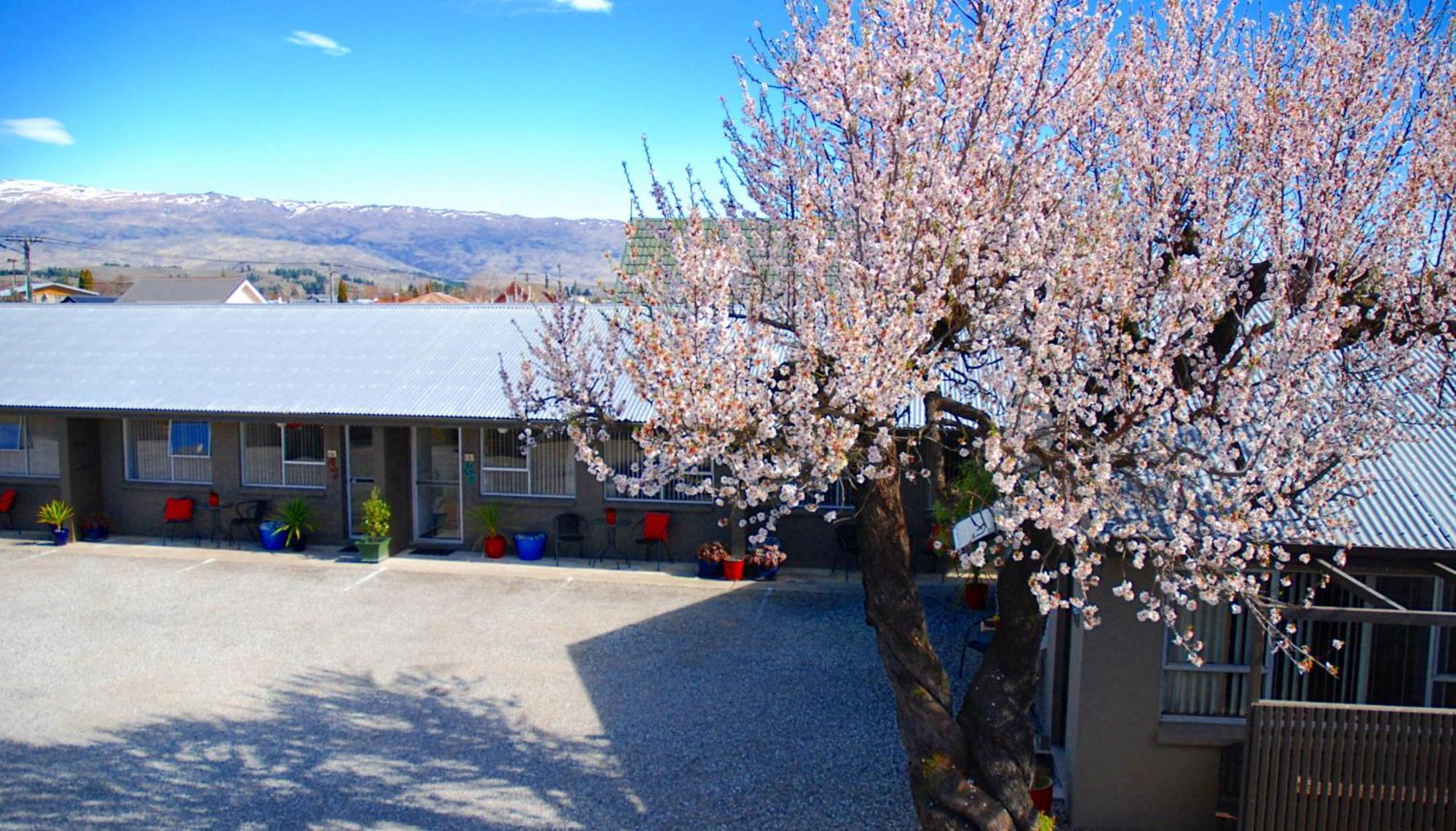 Almond Court Motel Alexandra Room photo